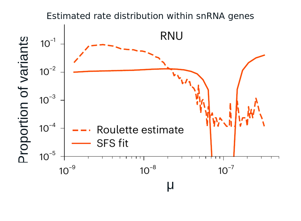 Rare-variant frequency inference identifies an extreme mutation-rate distribution within snRNA genes