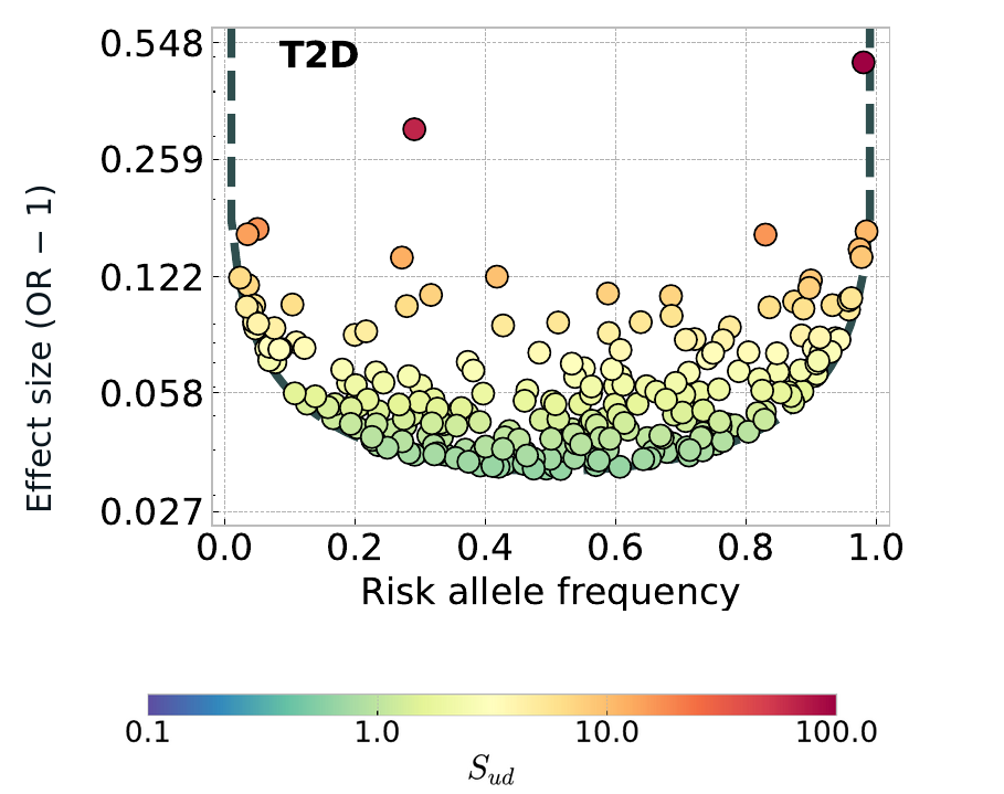 GWAS effect sizes and risk-allele frequencies for type 2 diabetes, colored by estimated stabilizing selection